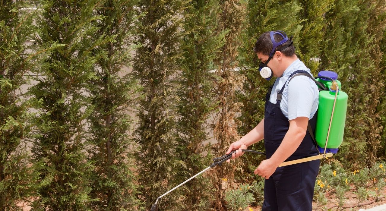 Commercial Pest Control