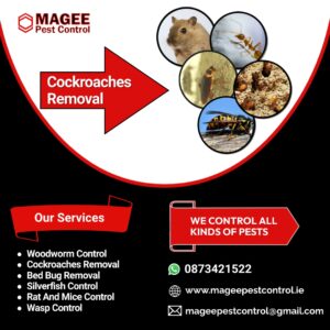 Cockroaches Removal