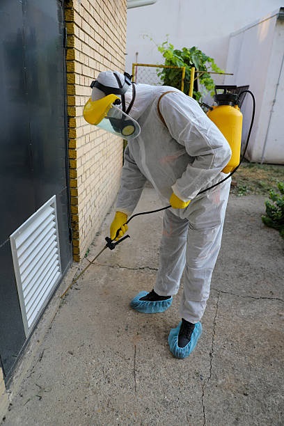 Best Commercial Pest Control Services Dublin 4 Best Commercial Pest Control Services Dublin