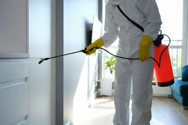 Pest Control Specialist Dublin