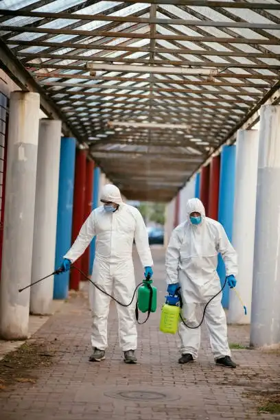 Emergency Pest Control Ranelagh