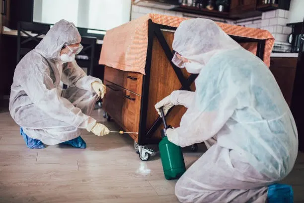 Emergency Pest Control Ranelagh
