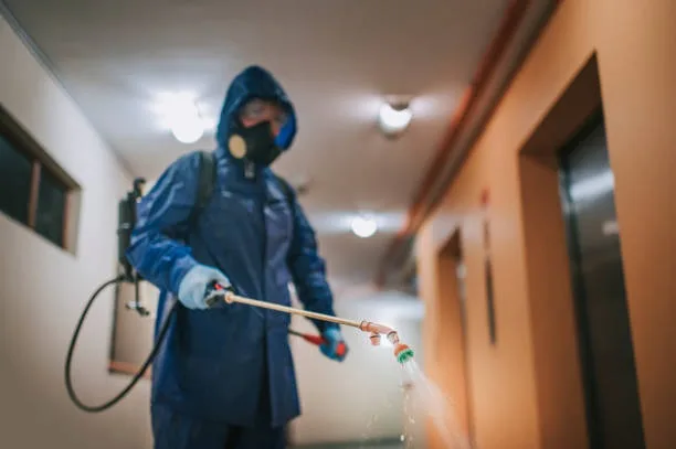 Emergency Pest Control Clontarf