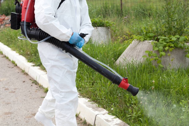 commercial pest control problems we Handle