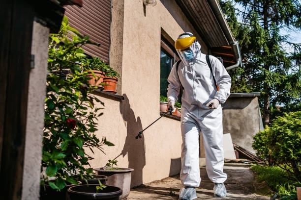 Emergency Pest Control Dublin