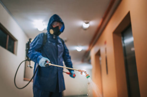 Fast Response Pest Control Dublin