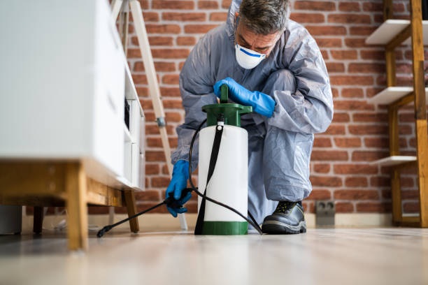 Magee Pest control