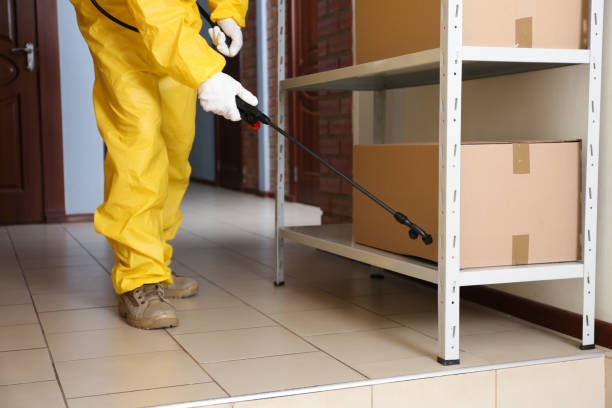 Warehouses pest control
