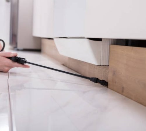 Professional Pest Control Dublin